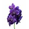 Vanda Divana Lilac And Aubergine
