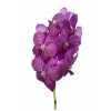 Vanda Mag Glitter