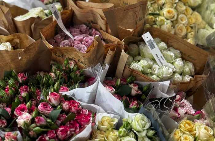 Свежие поступления и специальные условия для партнёров Florbiz!