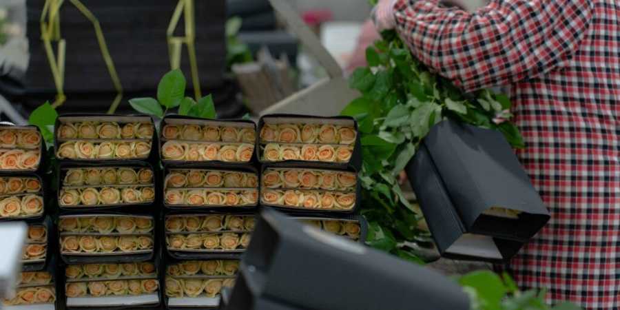 Цветы из Китая оптом