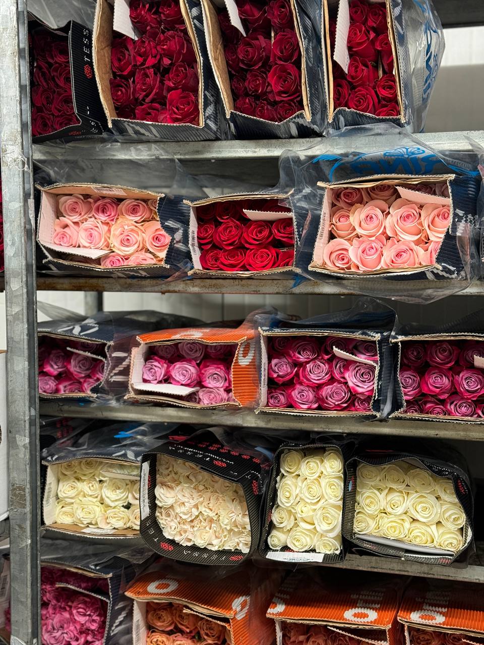 Цветы с доставкой 9 июля — Florbiz.by