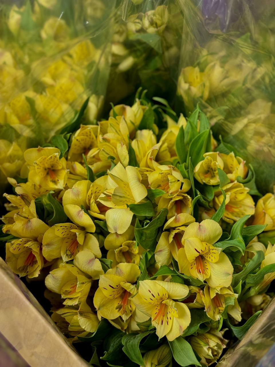 Поставка цветов 14.05.25 | Florbiz.by Поставка цветов 14 мая 2025 | Florbiz.by