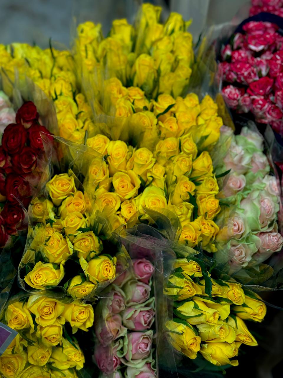 Поставка цветов 14.05.25 | Florbiz.by Поставка цветов 14 мая 2025 | Florbiz.by