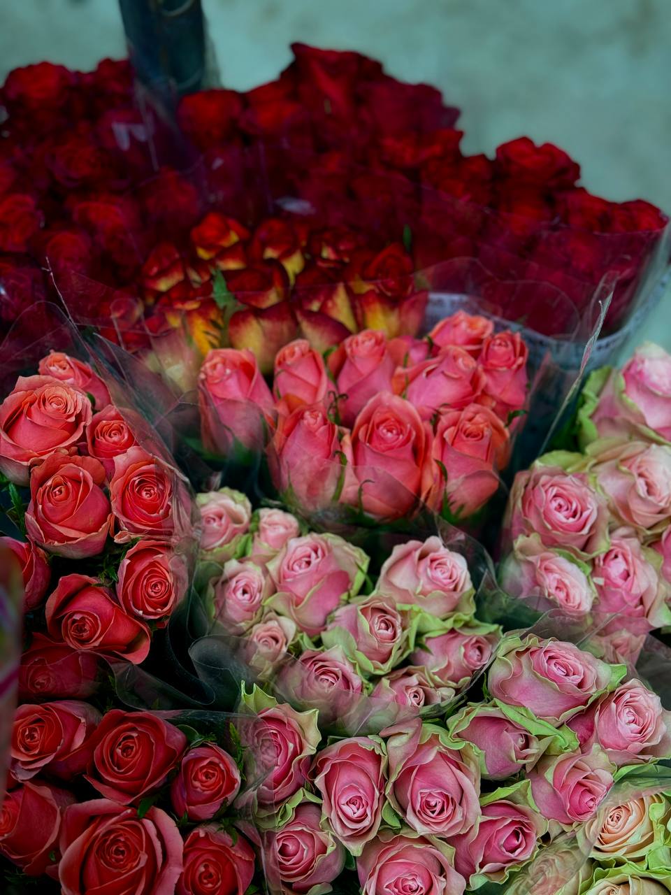 Поставка цветов 14.05.25 | Florbiz.by Поставка цветов 14 мая 2025 | Florbiz.by