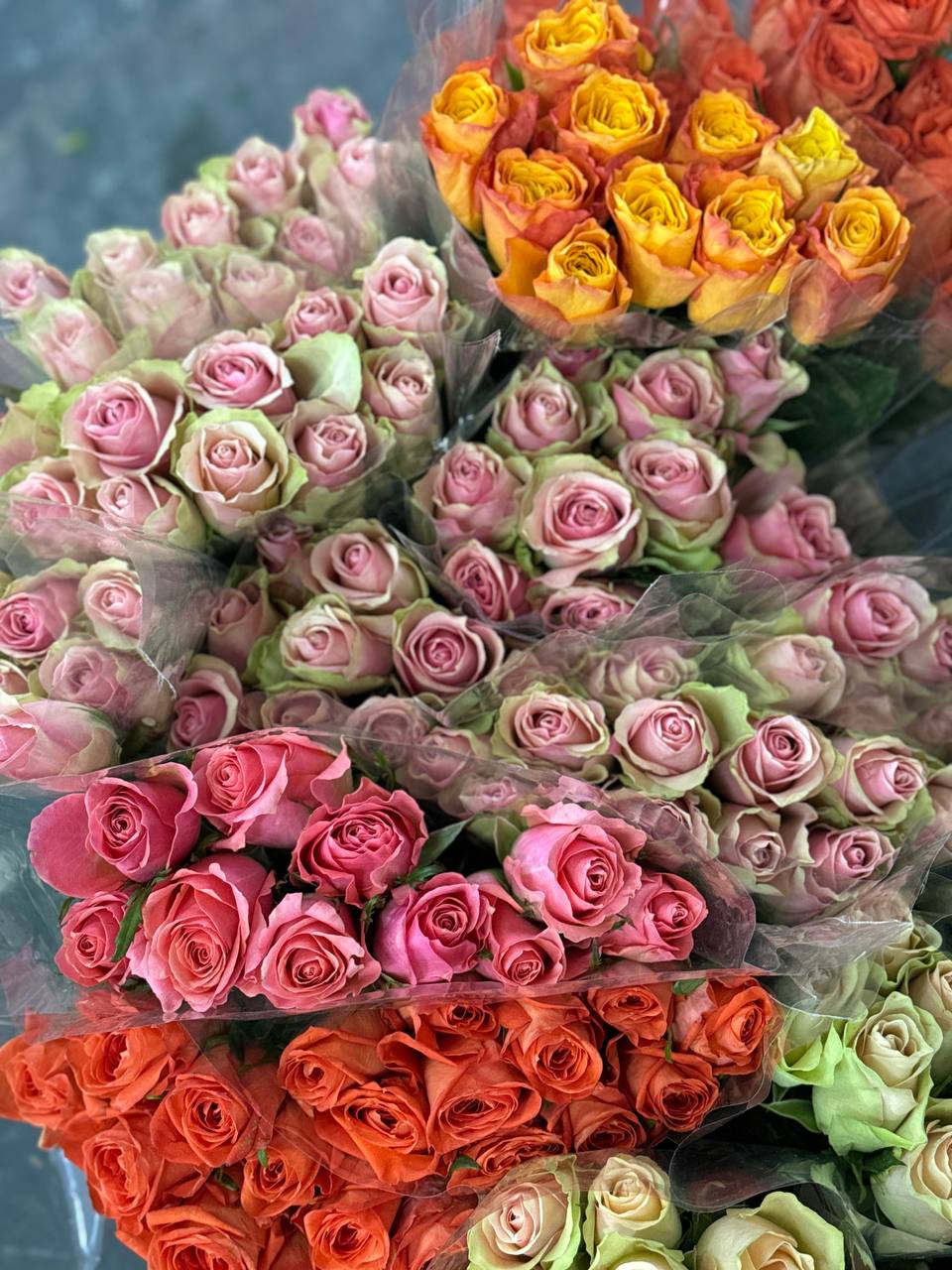 Свежие цветы оптом 18.06.2025 | Florbiz.by Поставка свежих цветов 18 июня 2025 – Florbiz.by