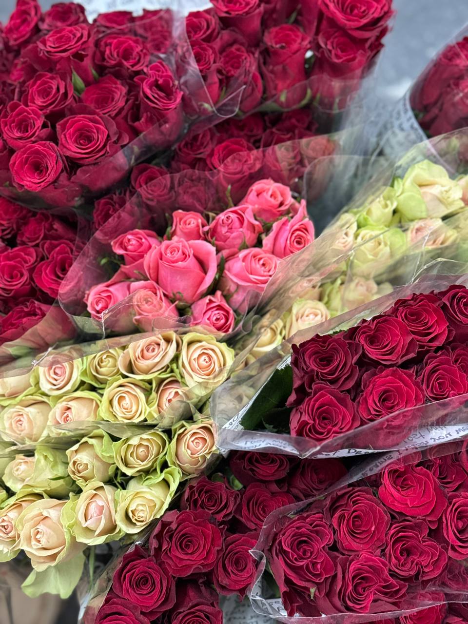 Цветы с доставкой 18.06.2025 | Florbiz.by Цветы оптом с доставкой – поставка 18 июня | Florbiz.by