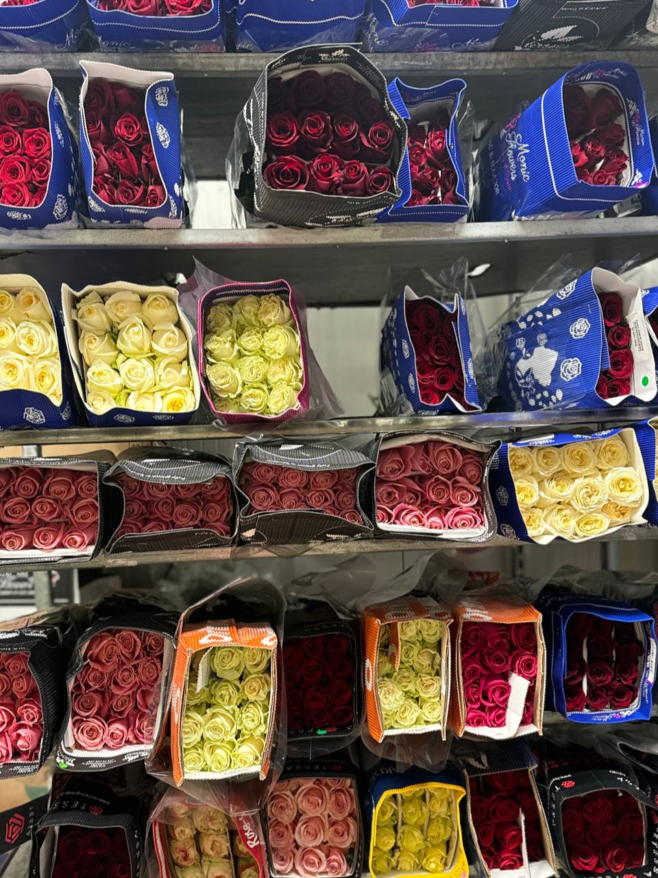 Розы оптом – поставка 18 июня 2025 | Florbiz.by Розы оптом со склада – июнь 2025 | Florbiz.by