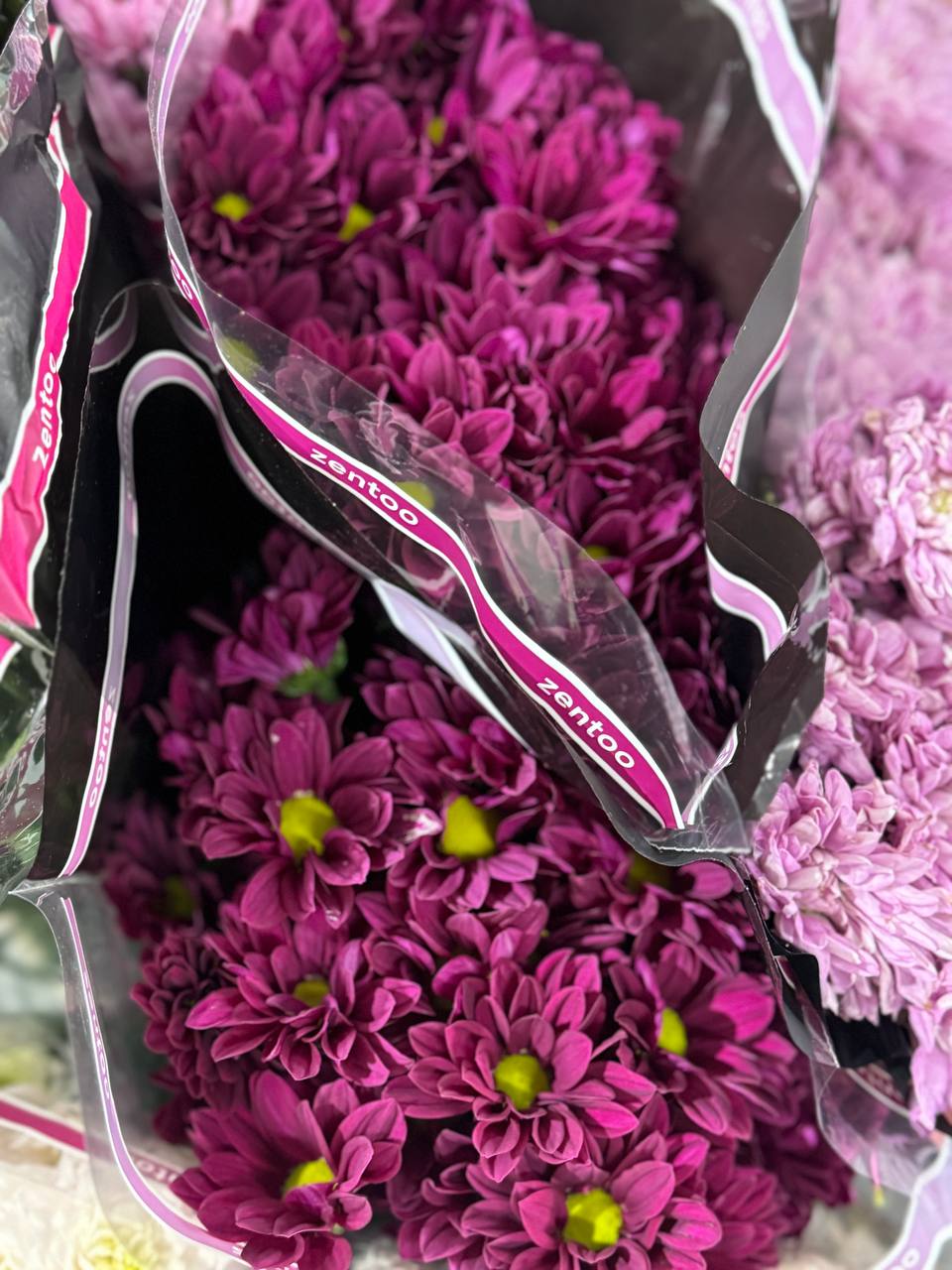Розы оптом со склада 18.06.2025 | Florbiz.by Свежие розы на складе Florbiz – опт от 1 упаковки
