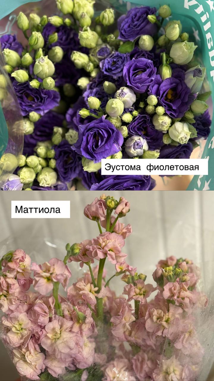 Свежие розы оптом от Florbiz.by