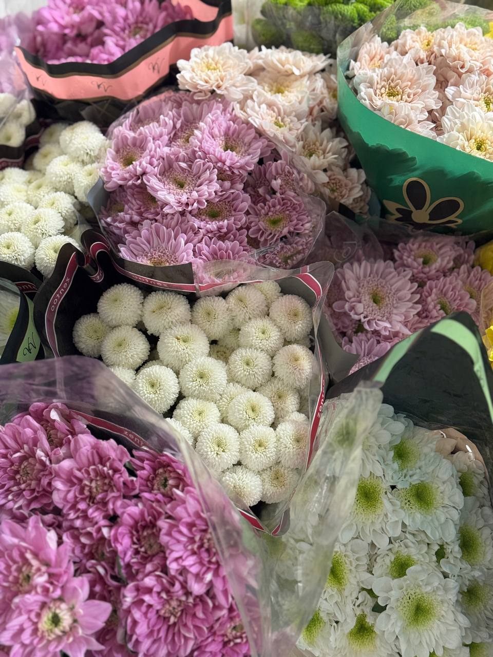 Цветы для бизнеса с гарантией качества