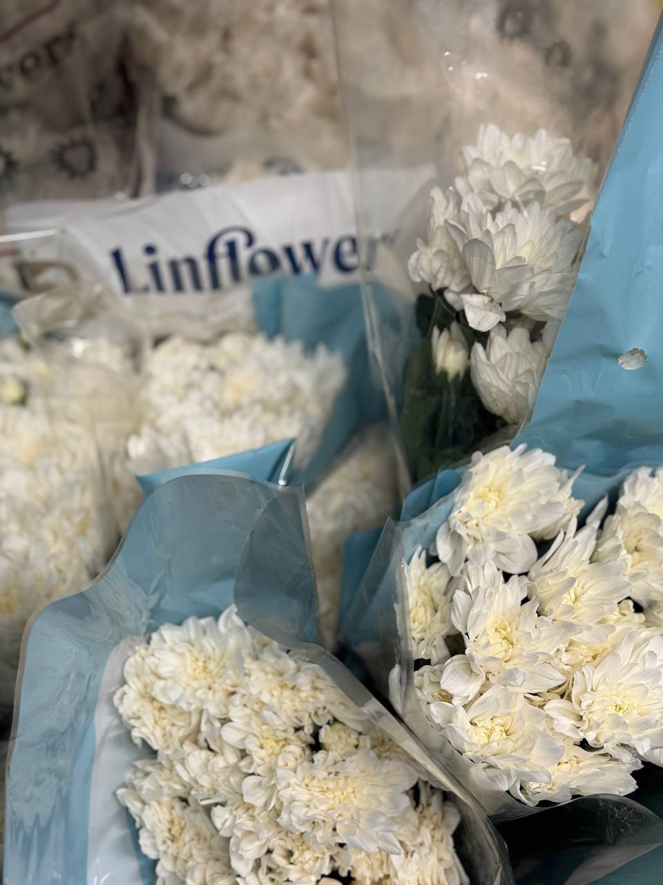 Поставка цветов на Florbiz.by