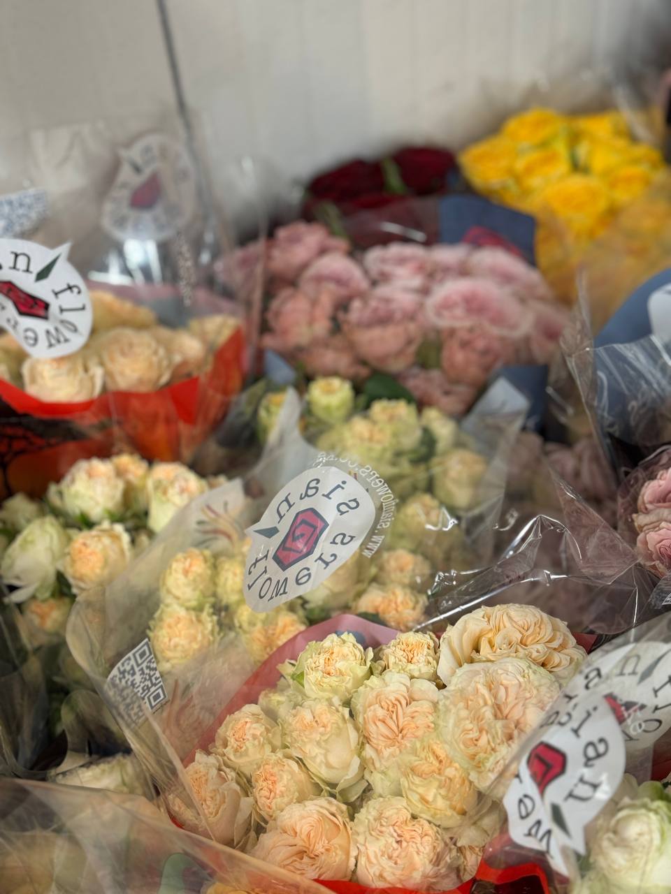 Пионовидные розы — остатки Florbiz, свежие цветы на 25 сентября 2025