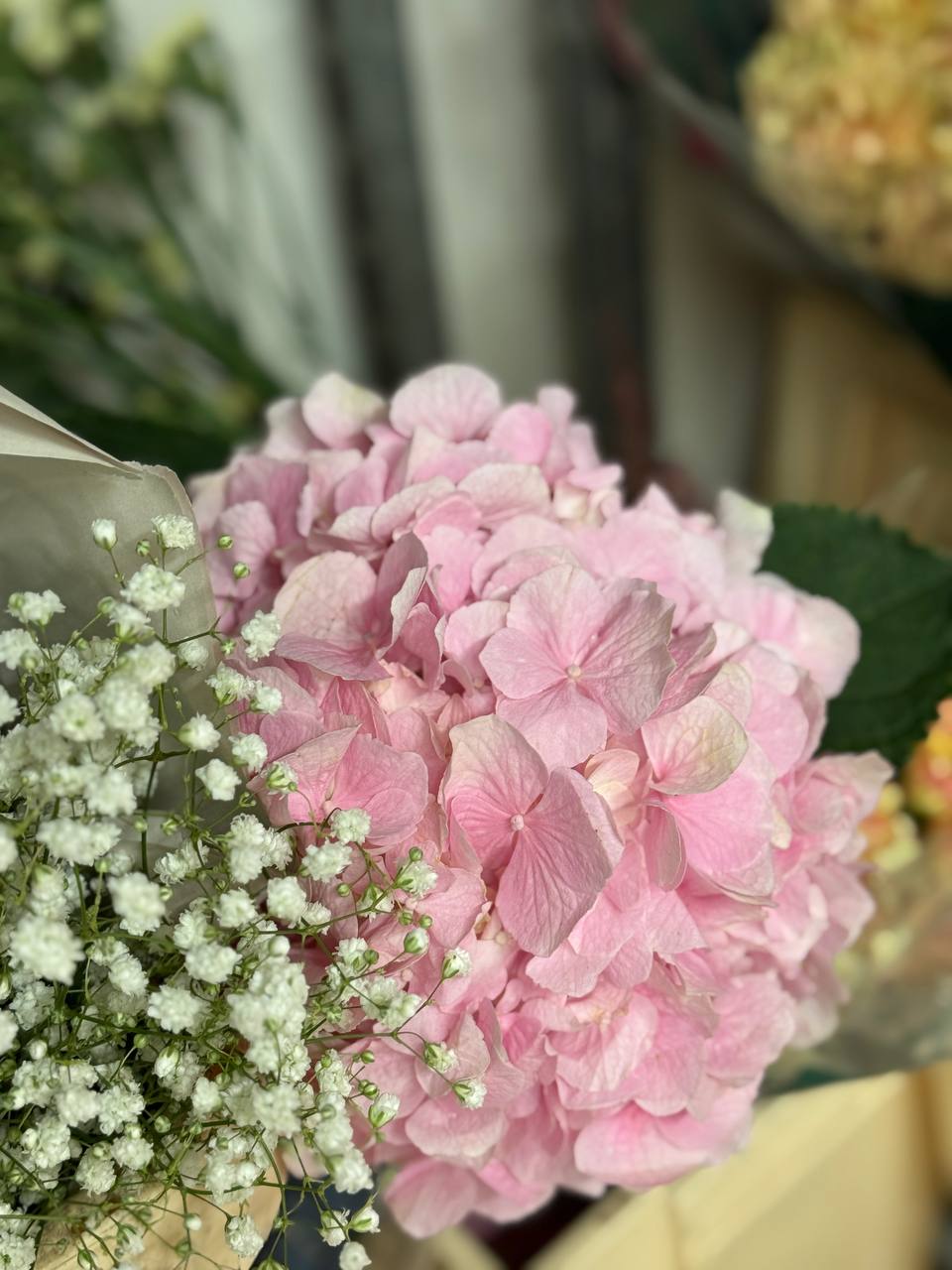Альстромерия и розы — остатки Florbiz, свежая партия 25 сентября 2025