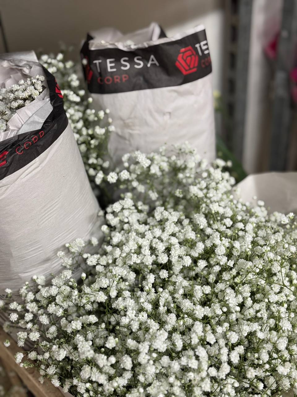 Ирисы и розы — остатки Florbiz, свежие цветы оптом 25 сентября 2025