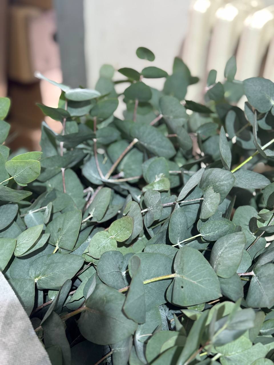 Свежие розы оптом от Florbiz.by Свежие розы оптом от Florbiz.by