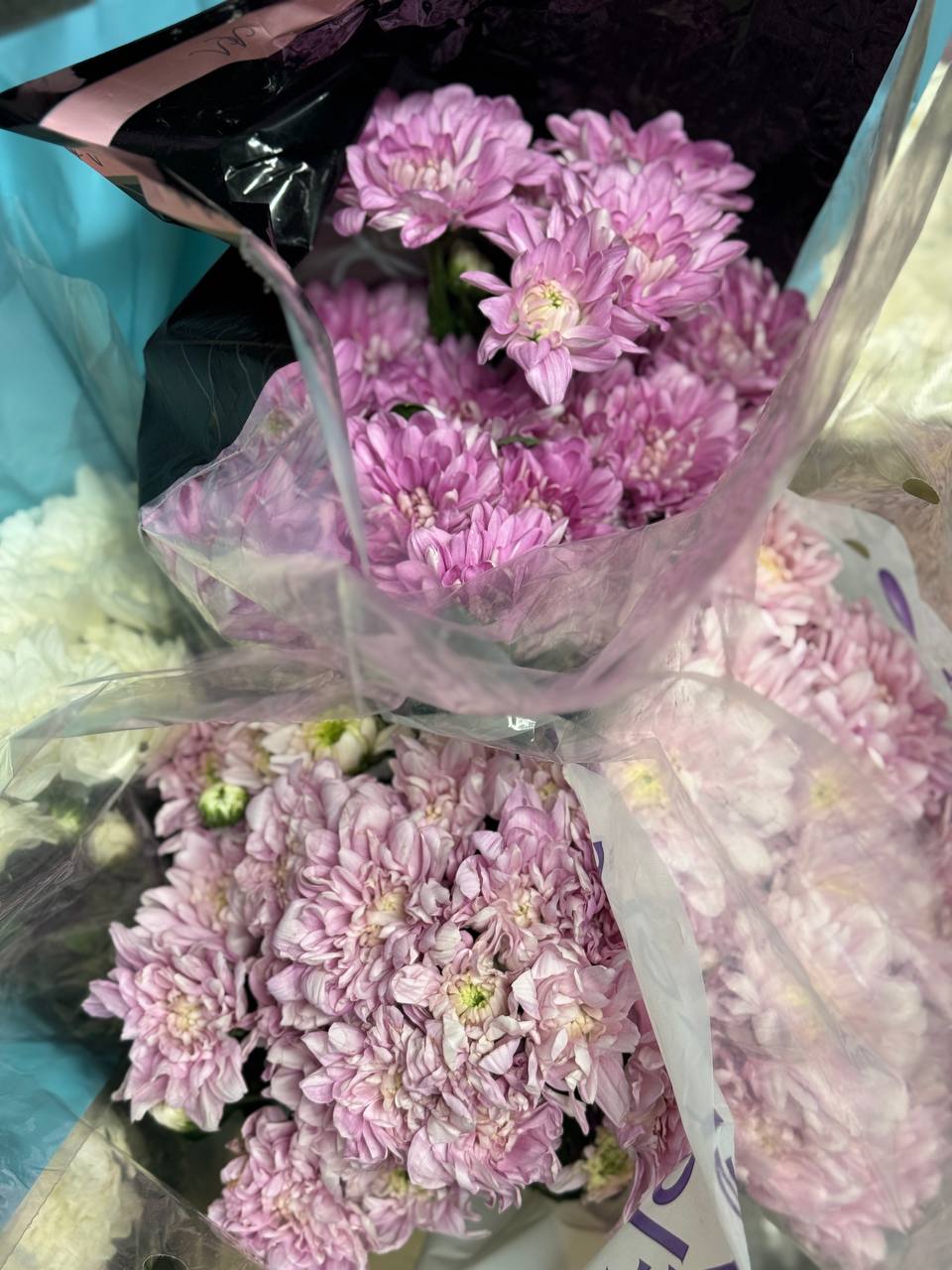 Поставка цветов на Florbiz.by Поставка цветов на Florbiz.by