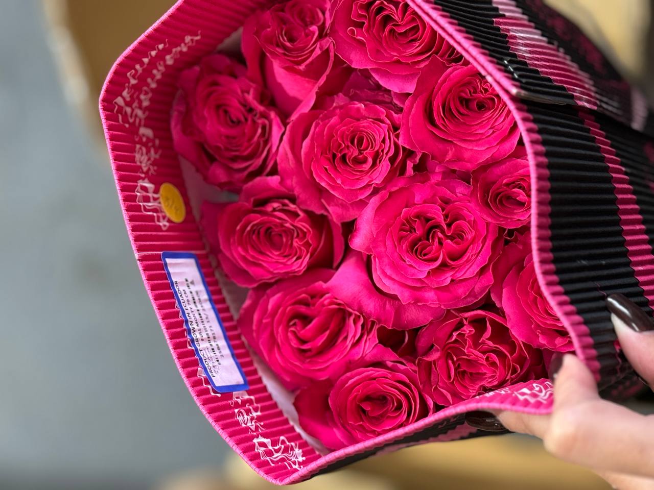 Акция на Эквадорские розы от Florbiz – скидки на розы из Эквадора! Уникальная акция на розы из Эквадора от Florbiz – скидки на свежие цветы!