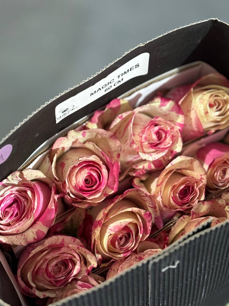 Эквадорские розы оптом – уникальная акция от Florbiz! Эквадорские розы оптом с доставкой от Florbiz – выгодные цены!