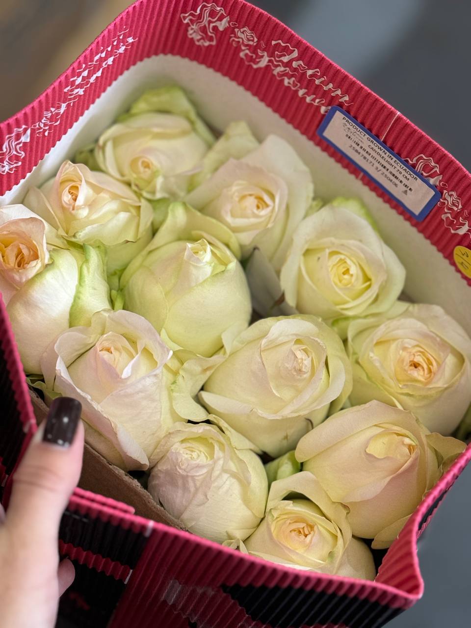 Акция на Эквадорские розы – доставка по СНГ от Florbiz! Эквадорские розы с быстрой доставкой от Florbiz по суперценам!