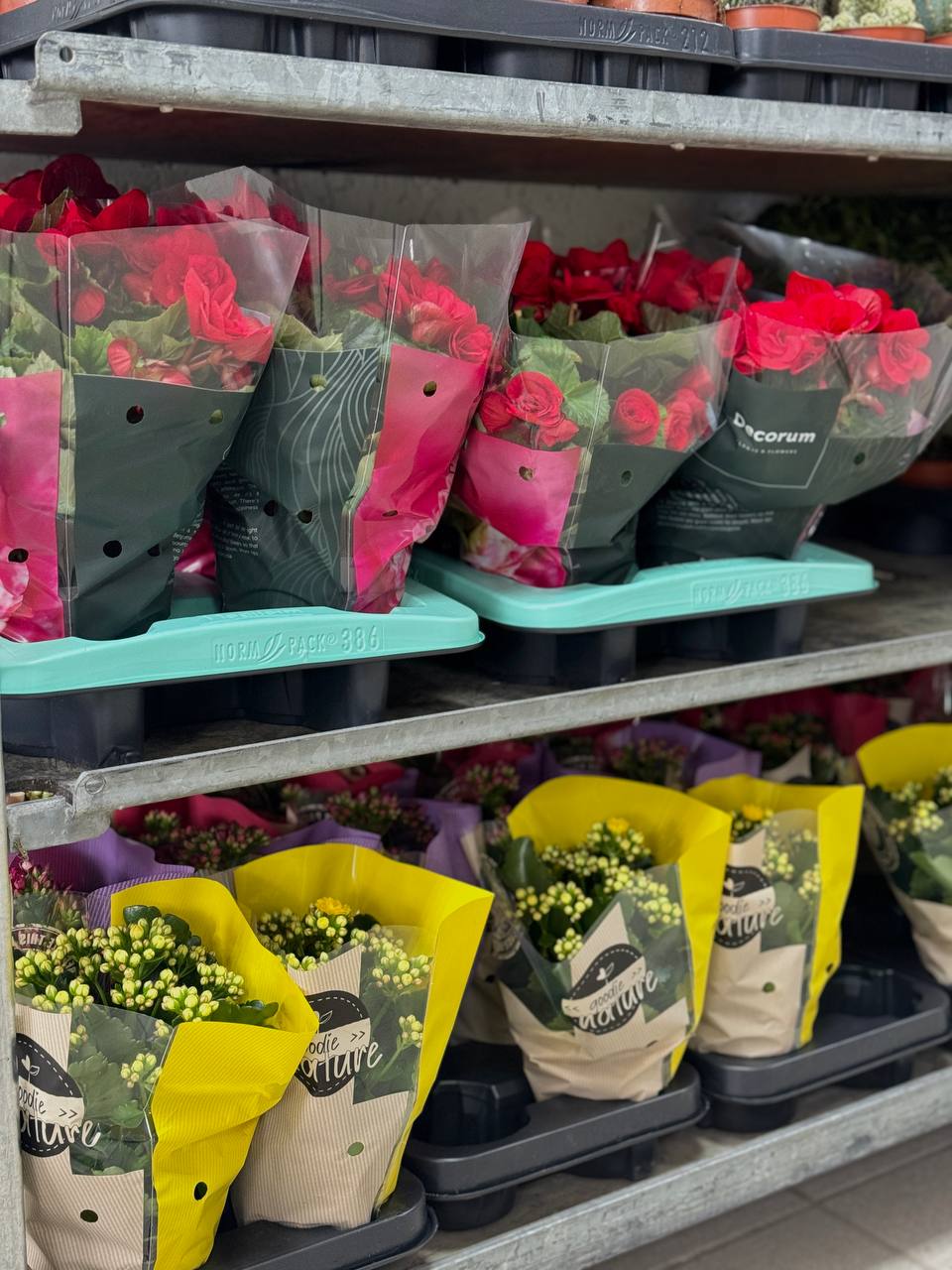 Поставка цветов 22.05.25 | Florbiz.by Поставка цветов 22 мая 2025 | Florbiz.by