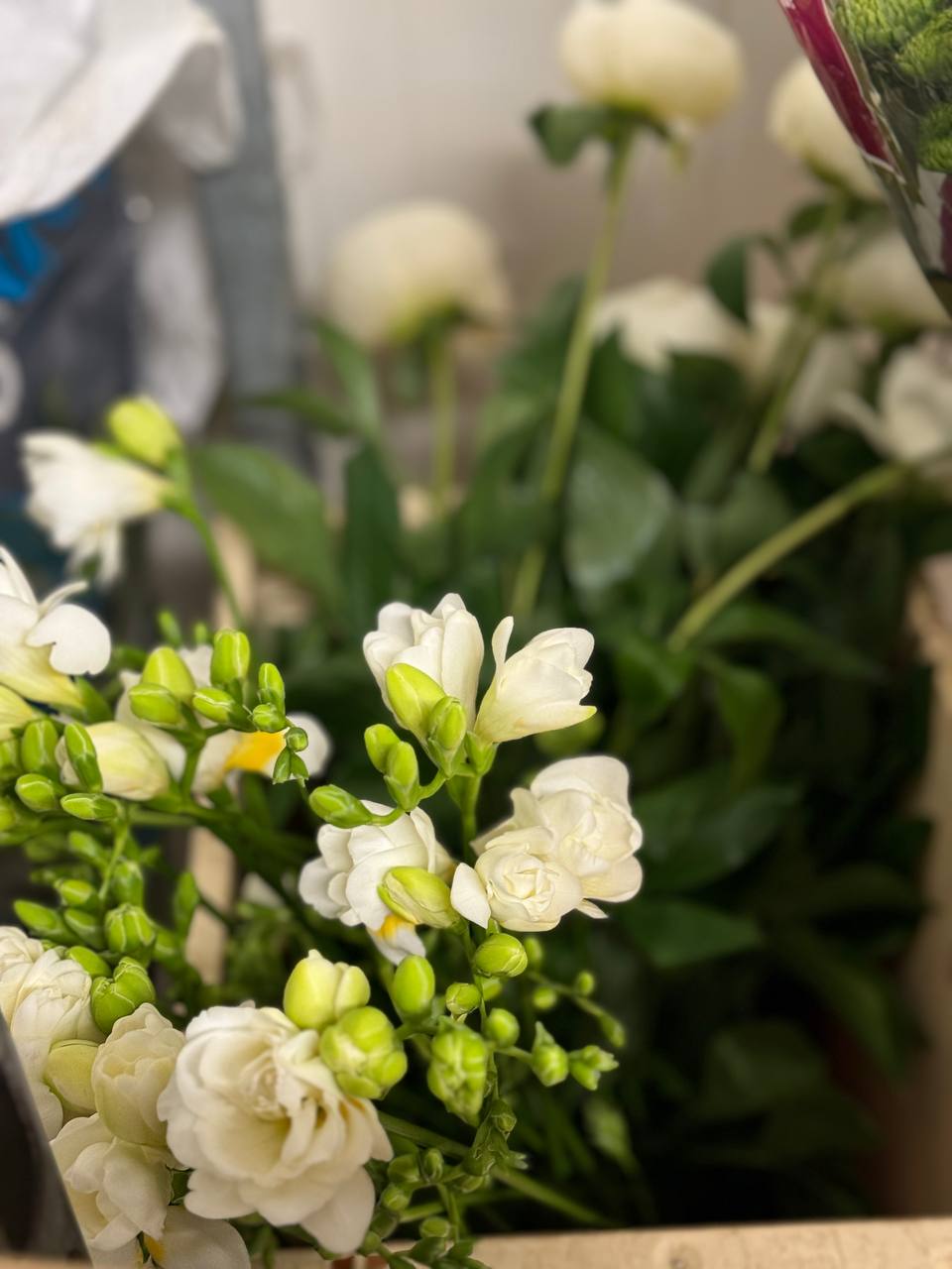 Поставка цветов 22.05.25 | Florbiz.by Поставка цветов 22 мая 2025 | Florbiz.by